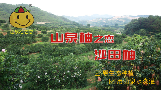 匠心生態再優化